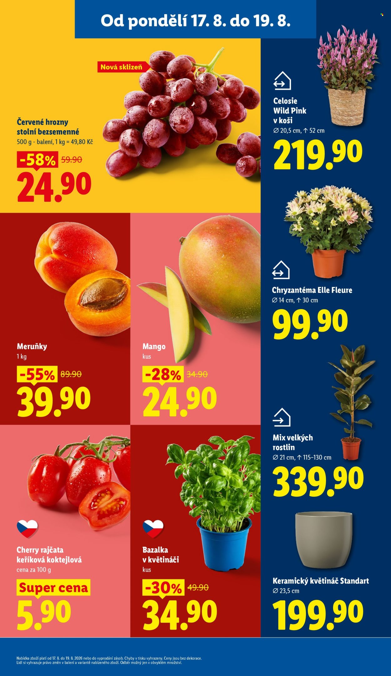 Leták Lidl - 17. 8. 2026 - 19. 8. 2026. Strana 15