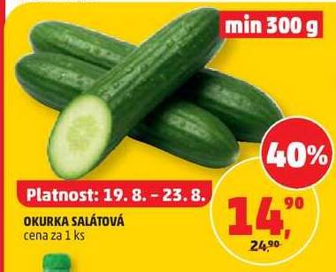 OKURKA SALÁTOVÁ