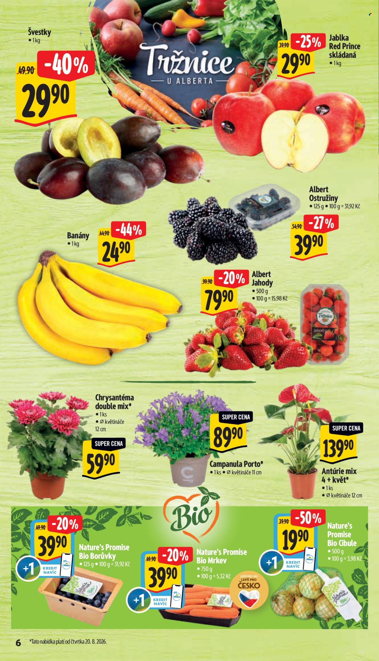 Leták Albert Supermarket - 19. 8. 2026 - 25. 8. 2026. Strana 12