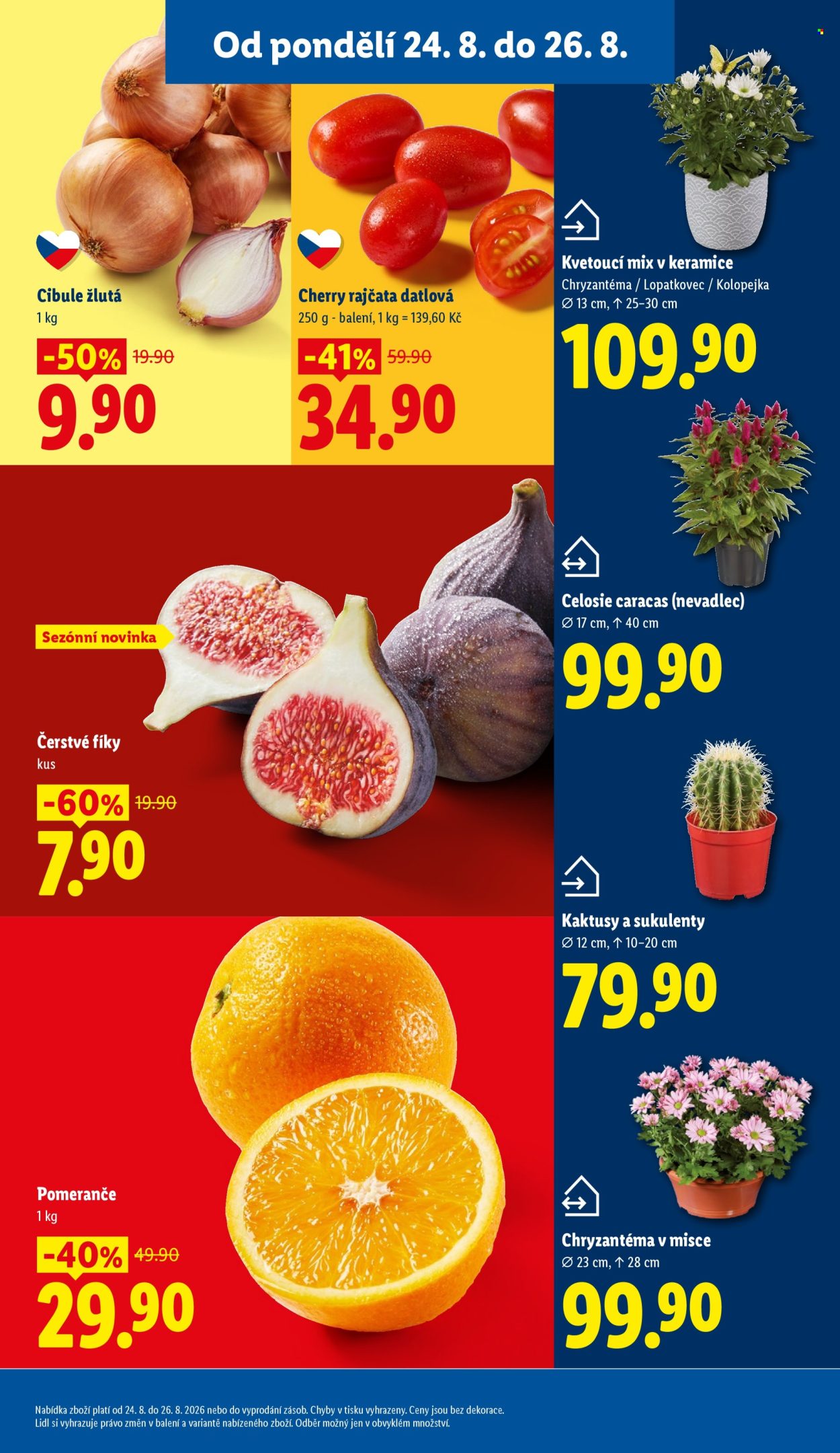 Leták Lidl - 24. 8. 2026 - 26. 8. 2026. Strana 15