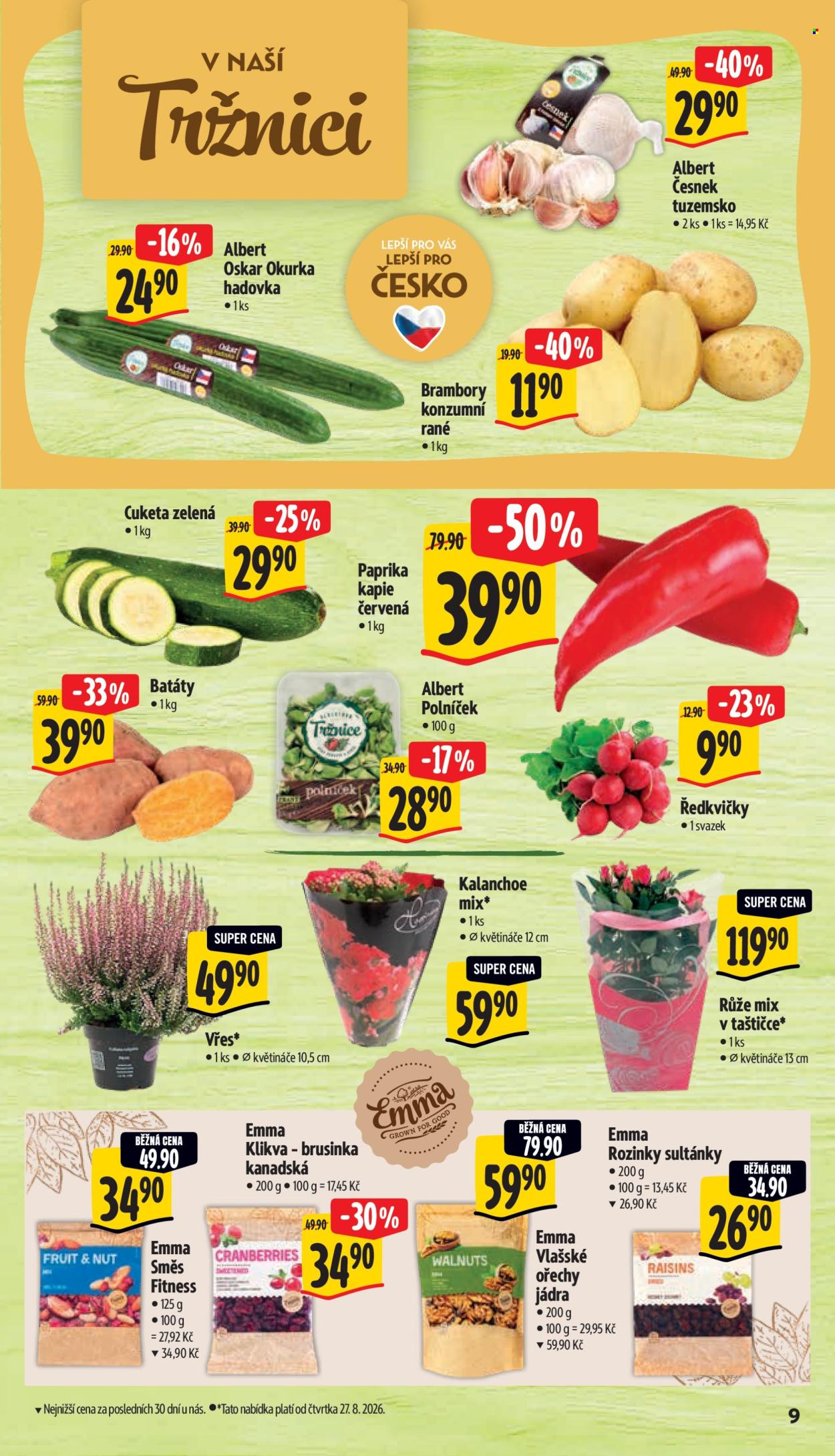 Leták Albert Supermarket - 26. 8. 2026 - 1. 9. 2026. Strana 15