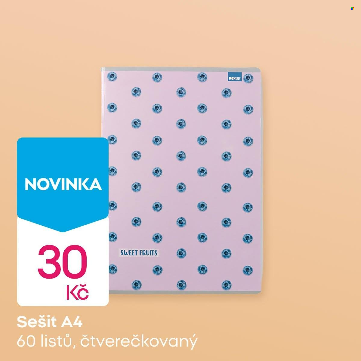 Leták PEPCO. Strana 3