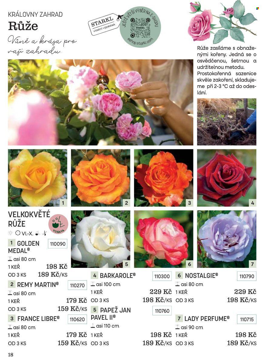 Leták Starkl. Strana 18