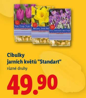 Cibulky jarních květů "Standart"