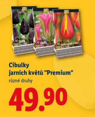 CIBULKY JARNÍCH KVĚTŮ PREMIUM