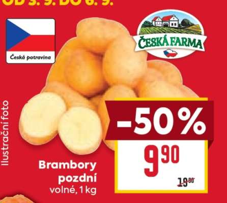 Brambory pozdní