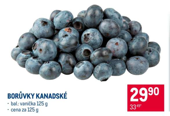 Borůvky kanadské
