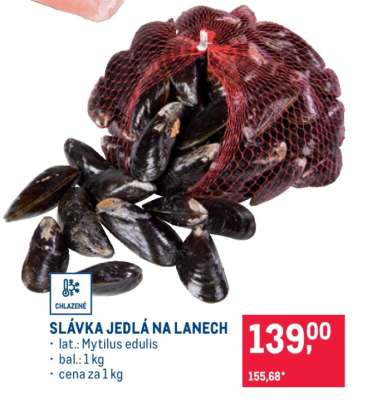 SLÁVKA JEDLÁ NA LANECH