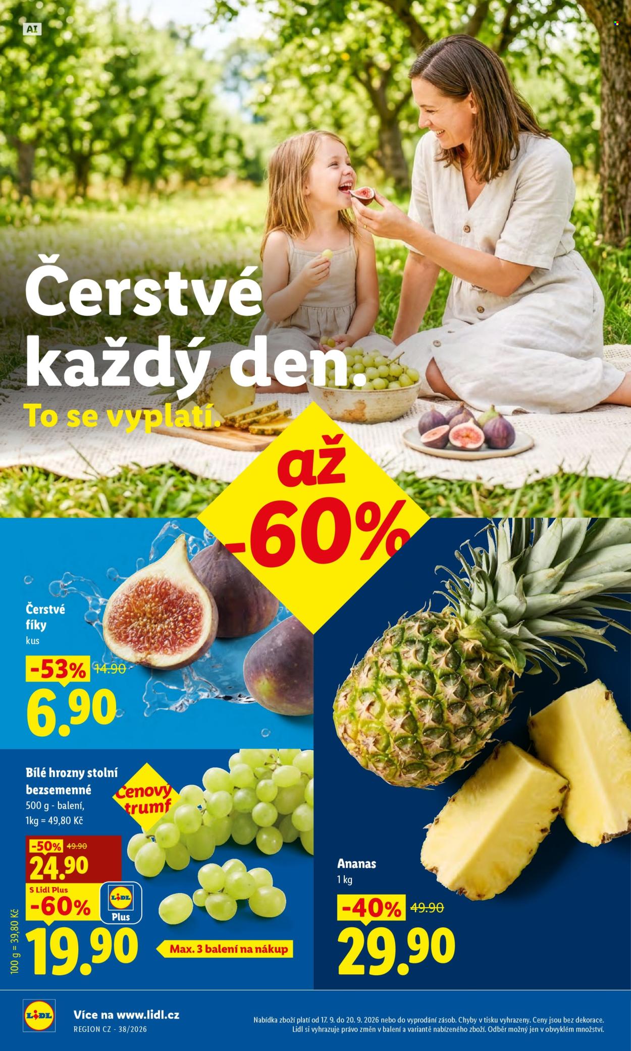 Leták Lidl - 17. 9. 2026 - 20. 9. 2026. Strana 8