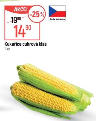 Kukuřice cukrová klas