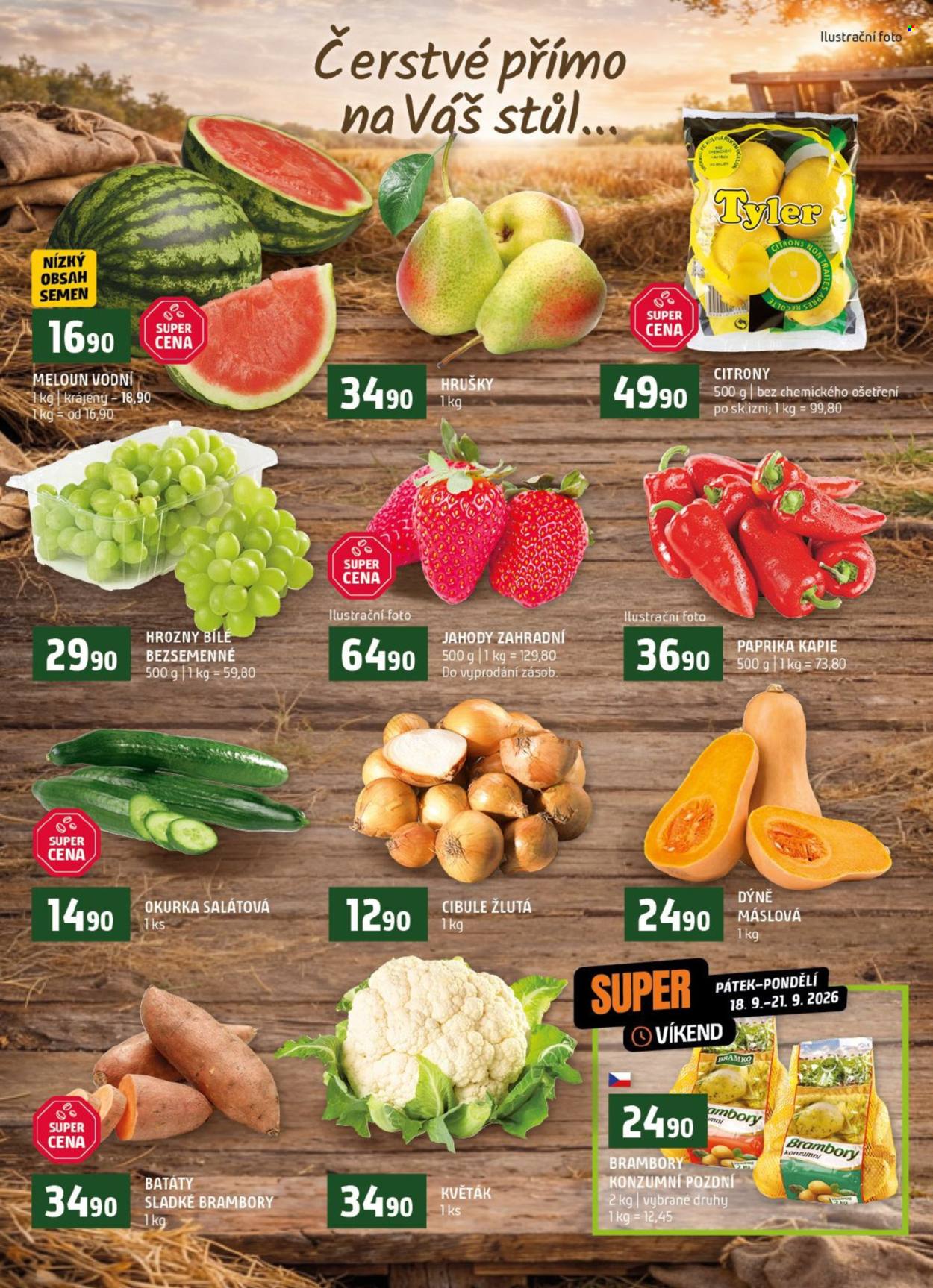 Leták coop TERNO - 16. 9. 2026 - 22. 9. 2026. Strana 6