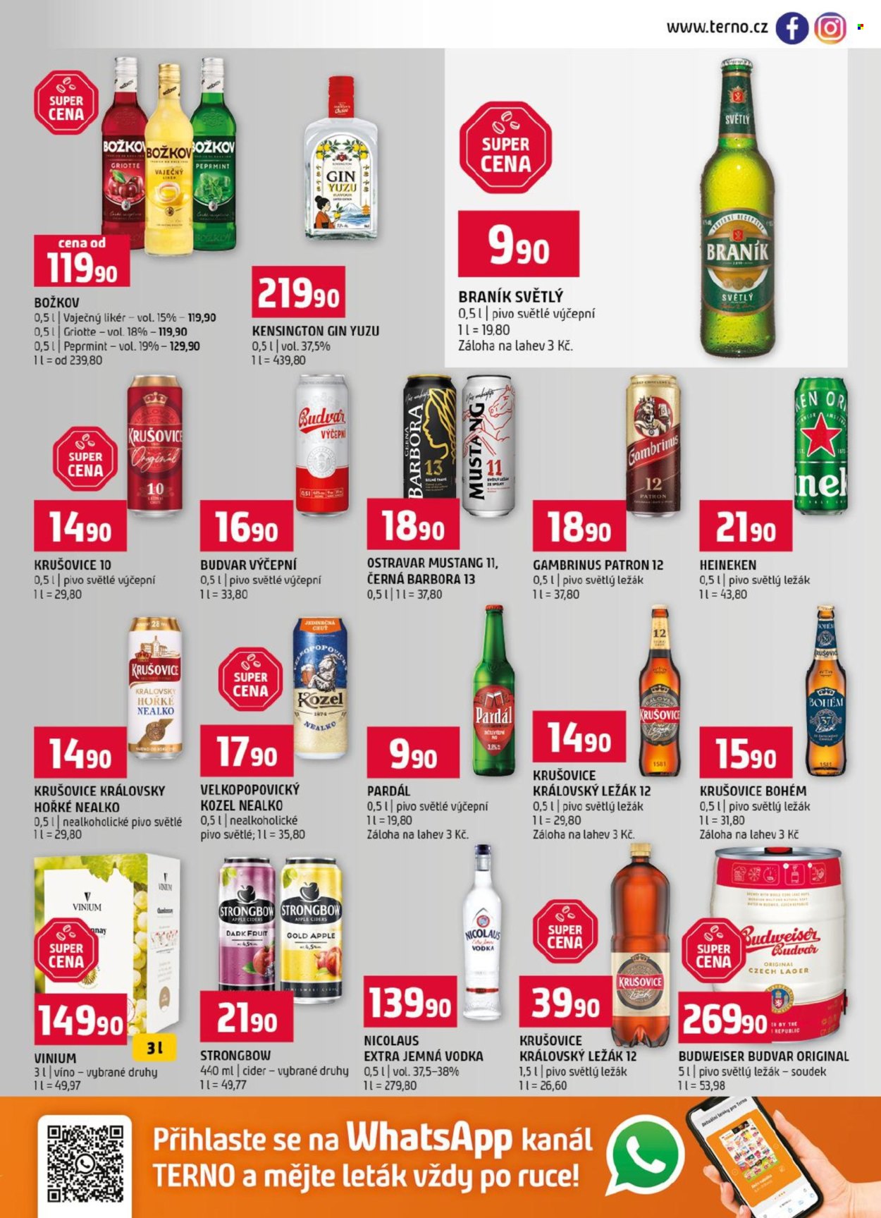 Leták coop TERNO - 16. 9. 2026 - 22. 9. 2026. Strana 13