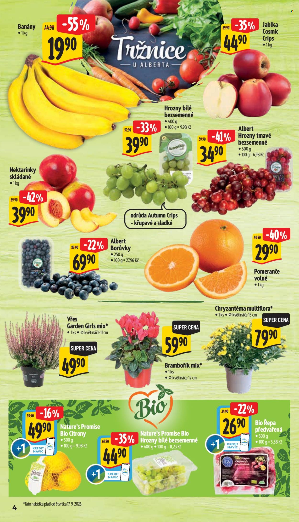 Leták Albert Supermarket - 16. 9. 2026 - 22. 9. 2026. Strana 12