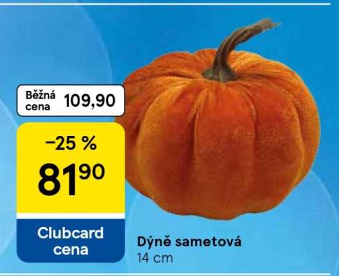 Dýně sametová